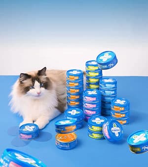 连云港品牌设计 | 群诺品牌咨询与设计