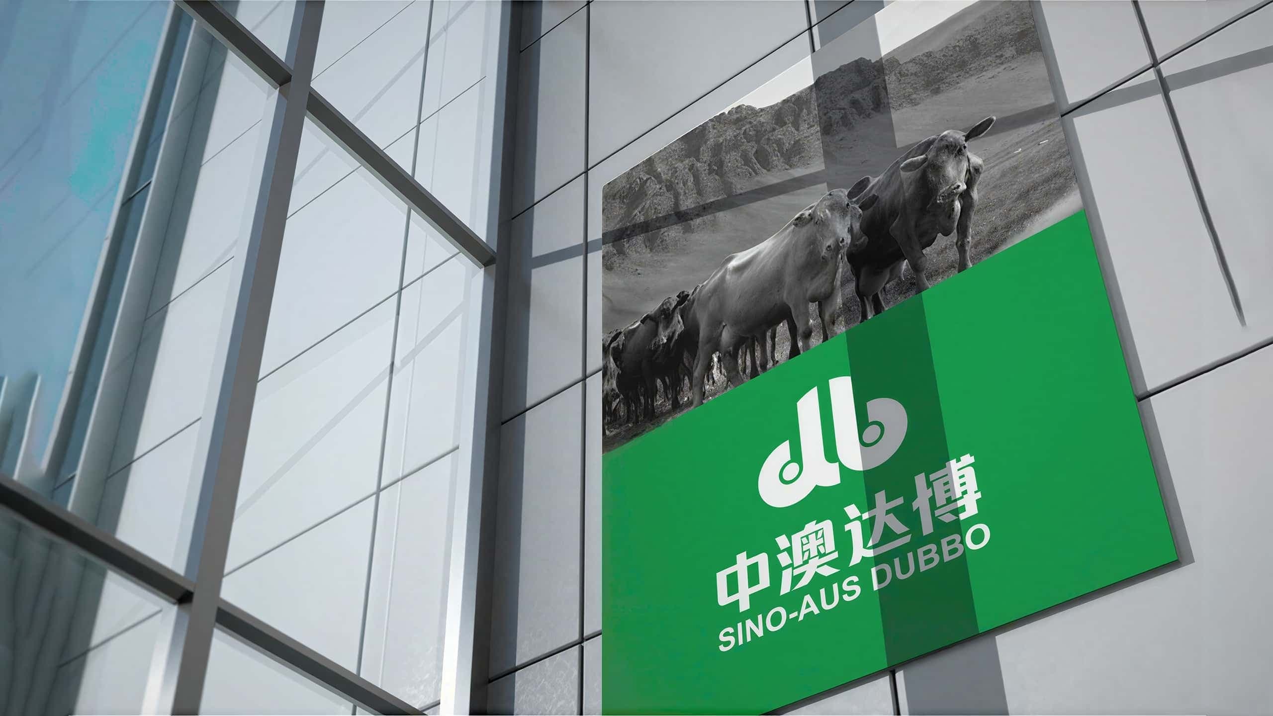 连云港战略品牌创建＆设计