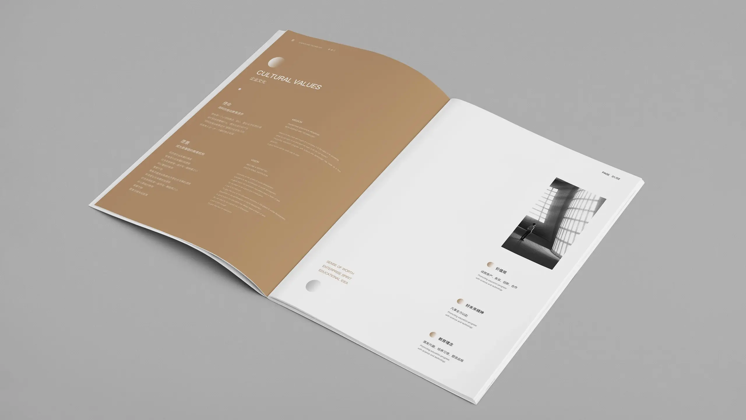 连云港企业画册设计