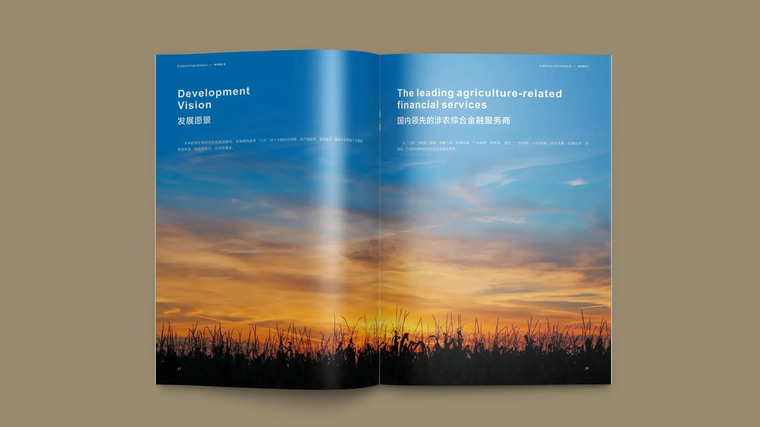 连云港企业画册设计